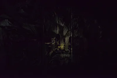 DSC_7101 (Large).JPG